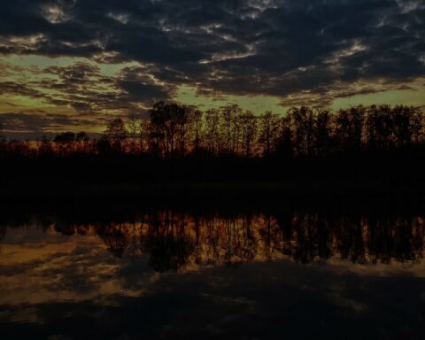 Silhouet van bomen bij zonsondergang, weerspiegeld in een rustig meer. Donkere wolken boven.