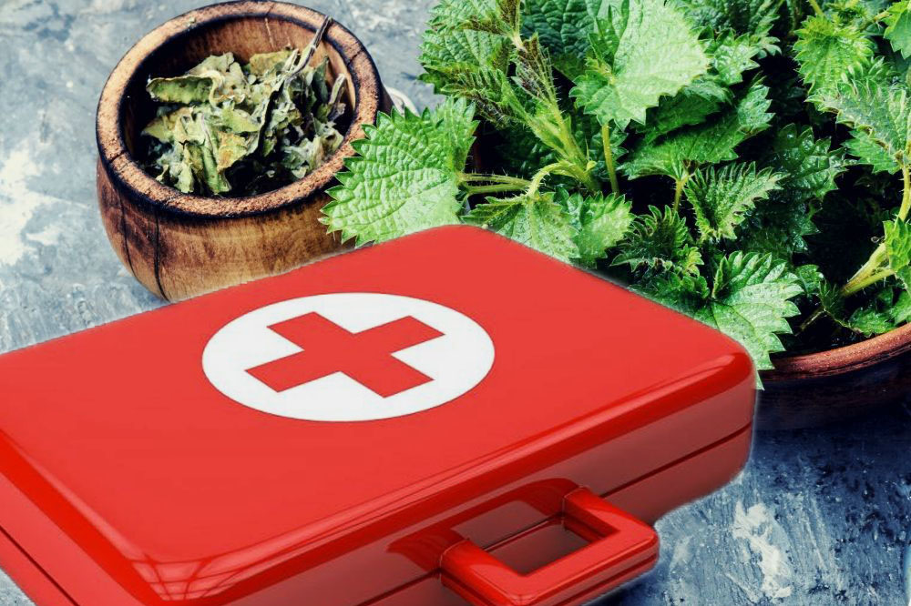 Rode EHBO-doos naast houtkom met kruiden en een schaal met brandnetels.