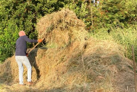 Man verzamelt hooi met een hooivork naast een grote hoop, omgeven door groene struiken.