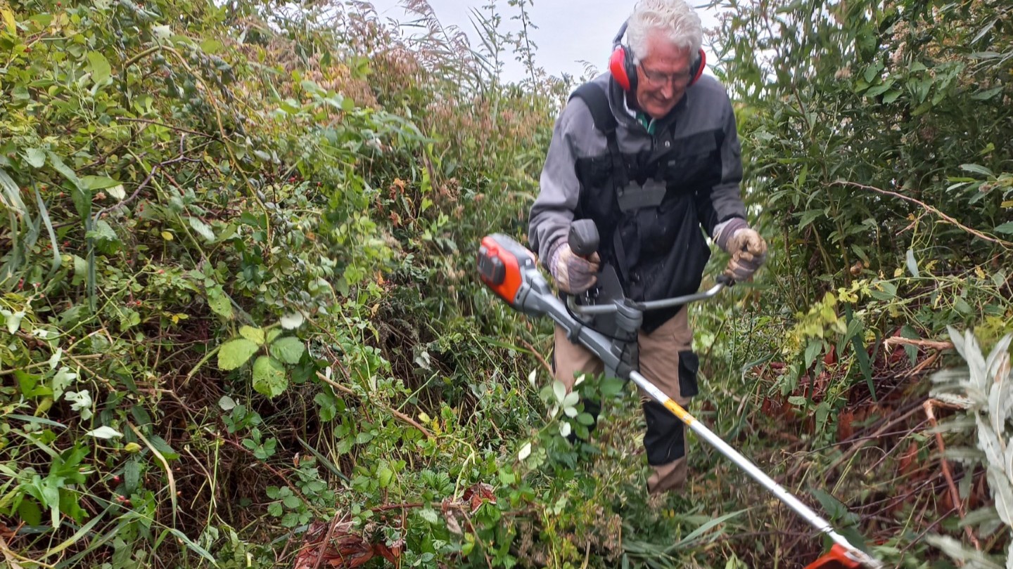 Man met gehoorbescherming snoeit struiken met bosmaaier in dichtbegroeid gebied.