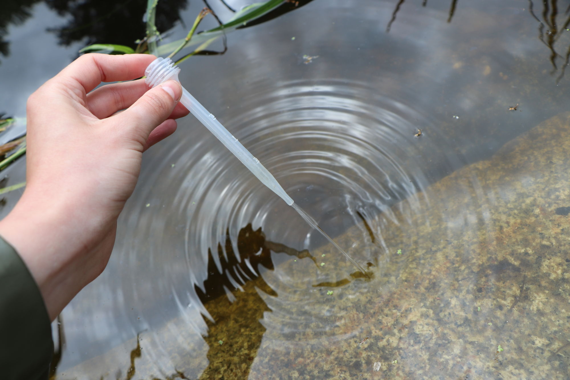 waterkwaliteit testen knnv ivn