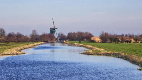 Wandeling Veenweidelandschap