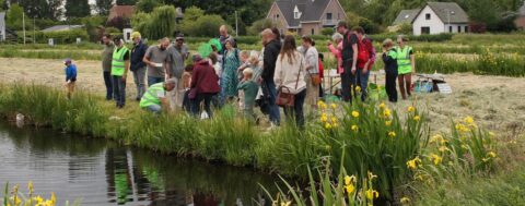 Groep volwassenen en kinderen bij een vijver met netten, omringd door gras en gele bloemen.