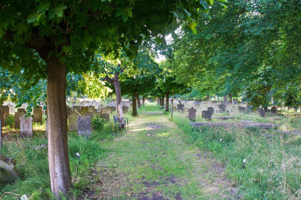 Natuur op de Oude Begraafplaats Gouda