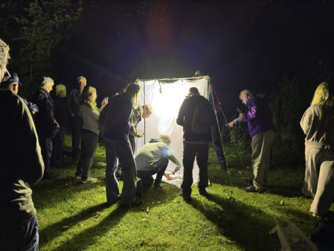 Groep mensen verzameld rond een verlicht wit scherm in een nachtelijke omgeving.