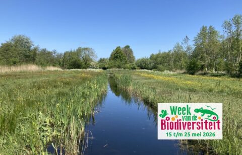 Heemtuin biodiversiteit