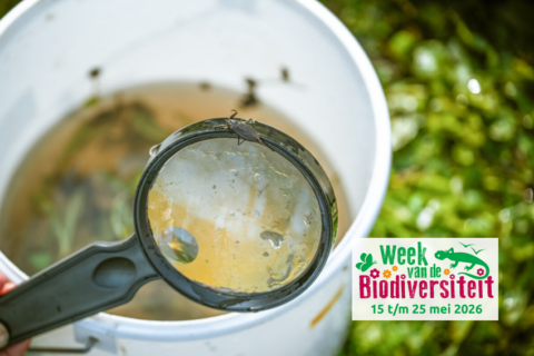 Vergrootglas boven emmer water met insect; Week van de Biodiversiteit 15-25 mei 2026 logo.