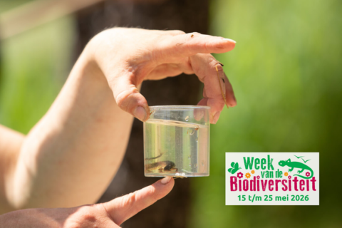 Slootjesonderzoek Stadsakker Gouda