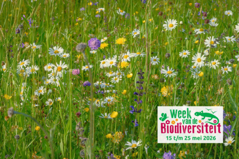Bloemenweide met het bord "Week van de Biodiversiteit, 15 t/m 25 mei 2026".