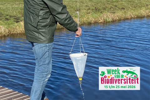 Een persoon bemonstert water met een net tijdens de "Week van de Biodiversiteit" (15-25 mei 2026).