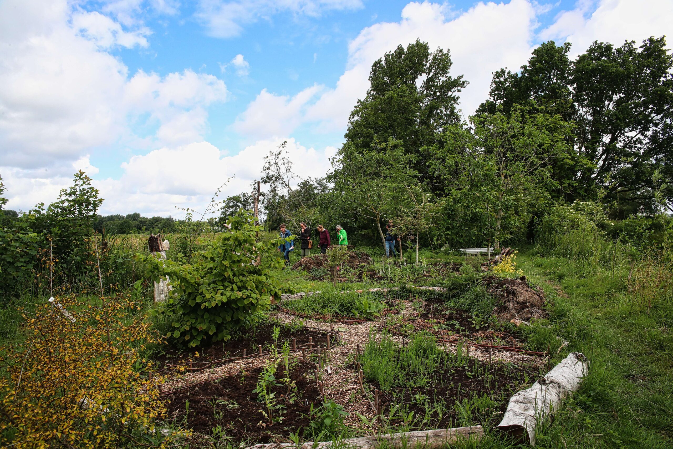 Mensen verkennen een weelderige moestuin omringd door bomen onder een blauwe lucht.