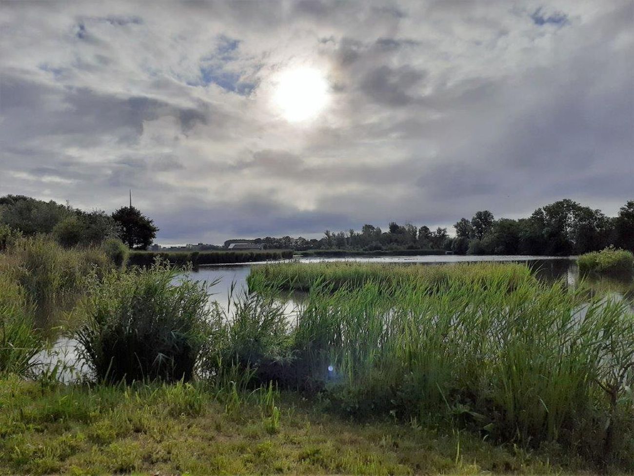 Wandeling door de Polder Rietveld 20 en 27 juli