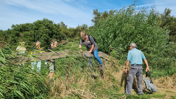 boerenland