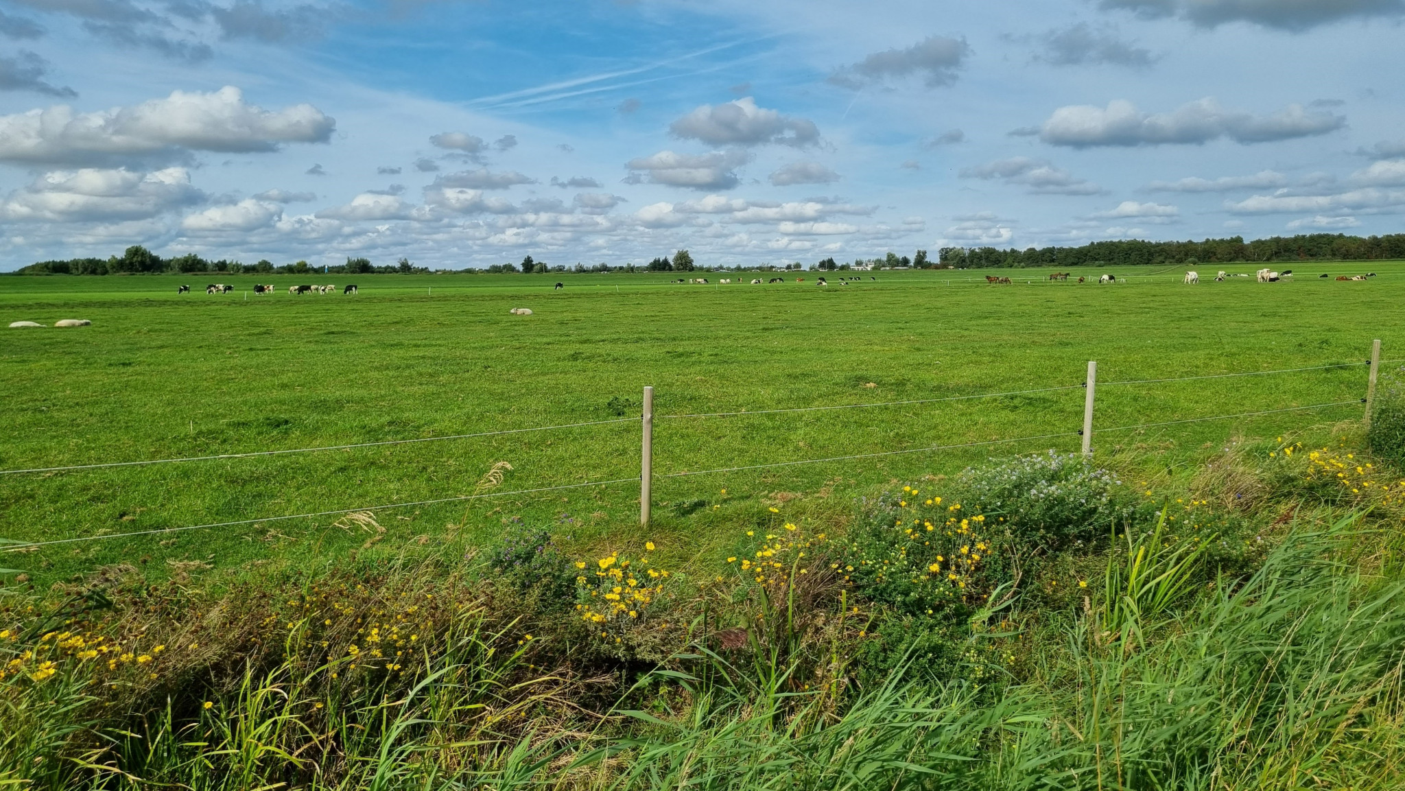 Boerenlandwandeling Rondje Woubrugge