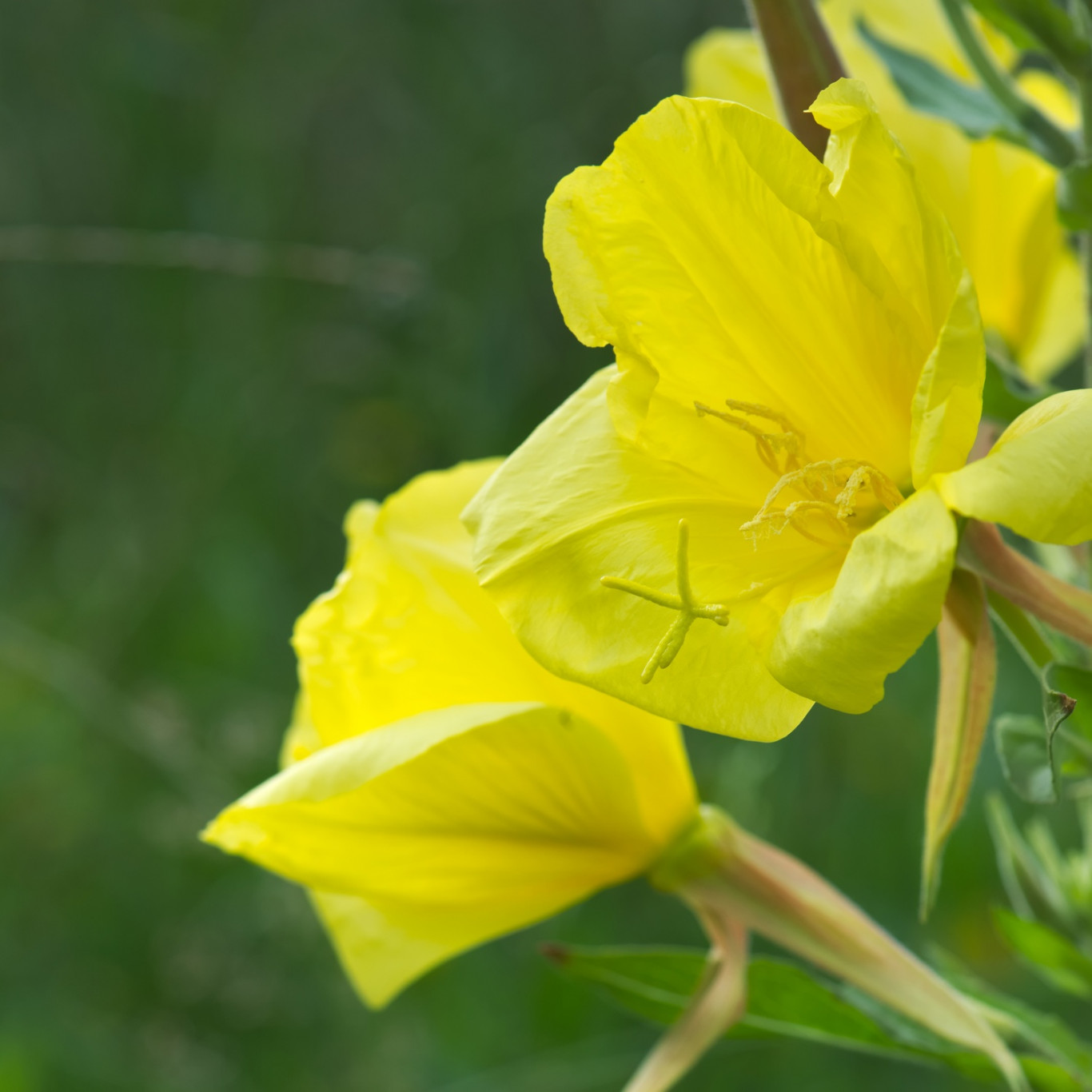 Plaats voor jou bij NatureXplorers