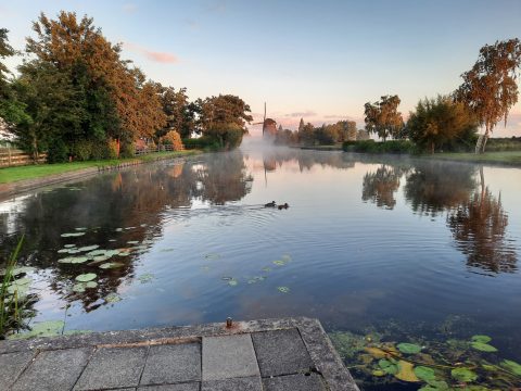 Verslagen van activiteiten