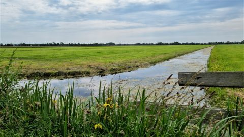 Wandeling door historisch poldergebied