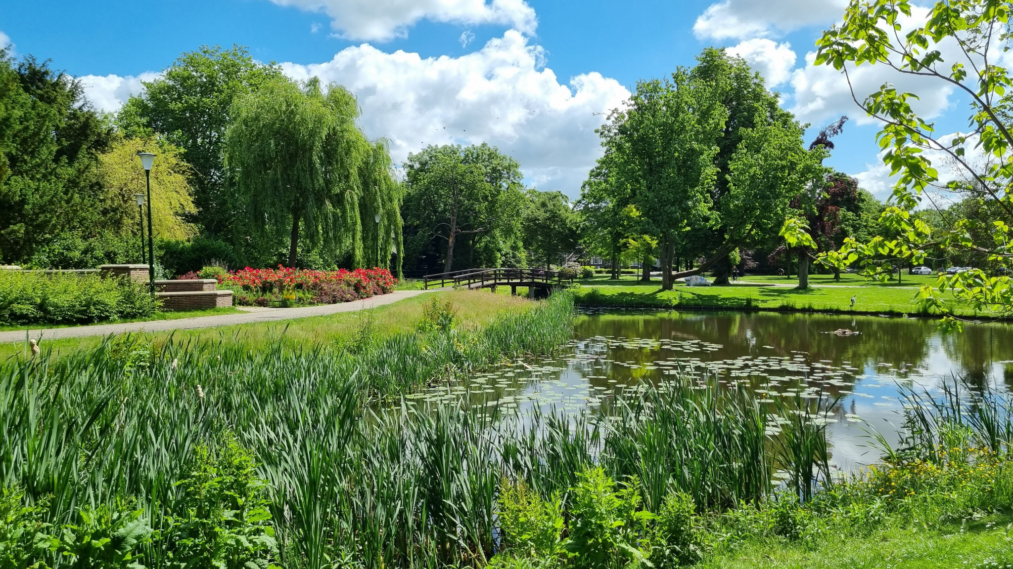 Stadswandeling door het Park Rijnstroom