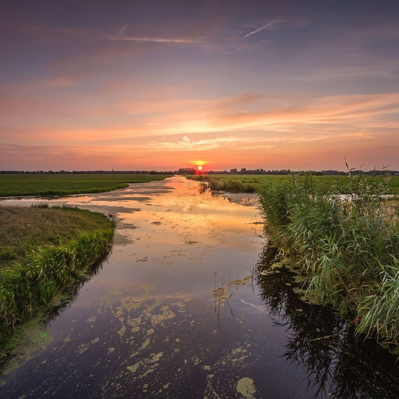 Fotowerkgroep “Natuurkiekers”