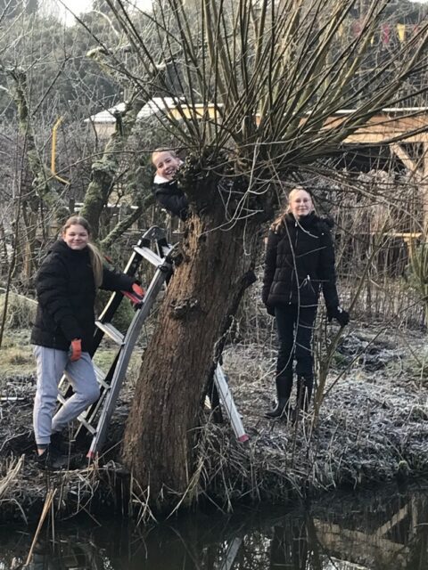 Drie kinderen bij een knotwilg; één op een ladder, winterse tuinomgeving.