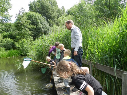 Kinderen vangen waterdieren met netten bij een vijver, onder toezicht van een volwassene, omringd door groen.