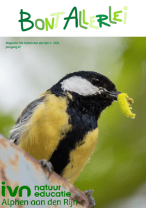 Koolmees met rups in snavel, achtergrond vaag, IVN logo linksonder. Titel: "Bont Allerlei".