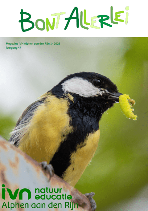 Koolmees met rups in snavel, achtergrond vaag, IVN logo linksonder. Titel: "Bont Allerlei".