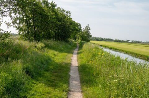 Smal pad langs groen gras en bomen, met een sloot aan de rechterkant onder een blauwe lucht.