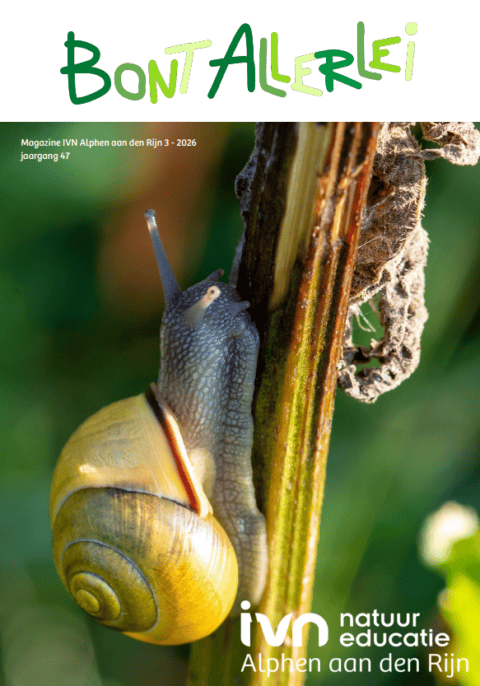 Slak kruipt op een plant, omslag van Bont Allerlei magazine, IVN Alphen aan den Rijn.