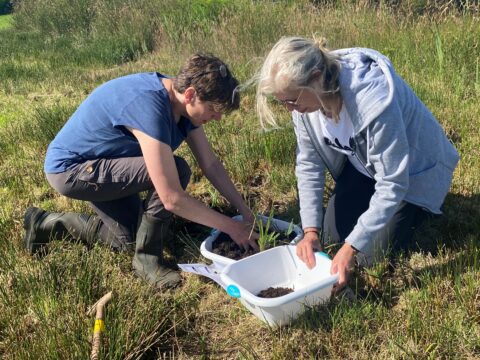 Twee mensen werken samen buiten, bezig met planten in bakken op grasland.
