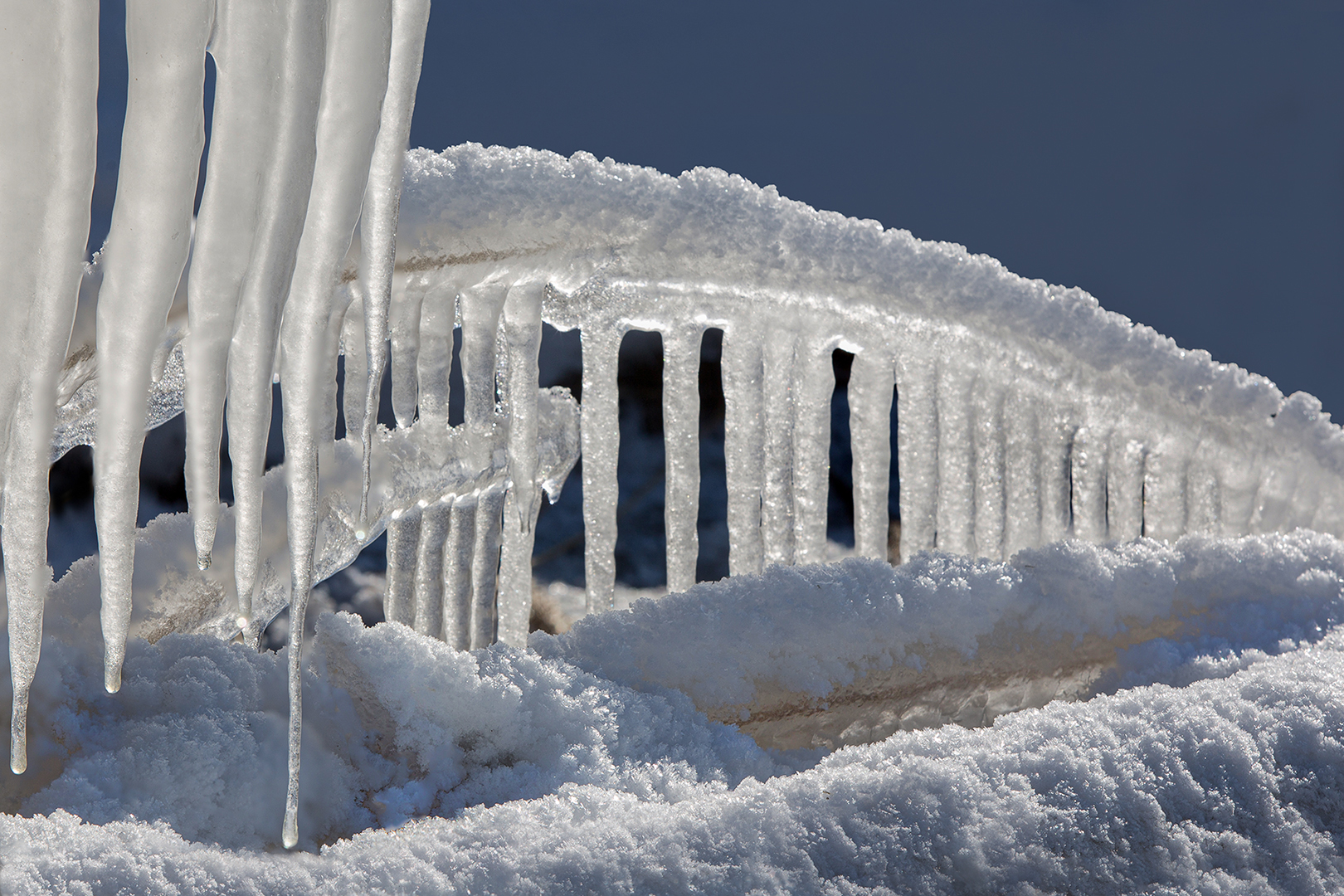 Natuurwandeling januari 2022 gaat niet door