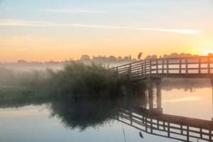 Middelpolder bij zonsopkomst