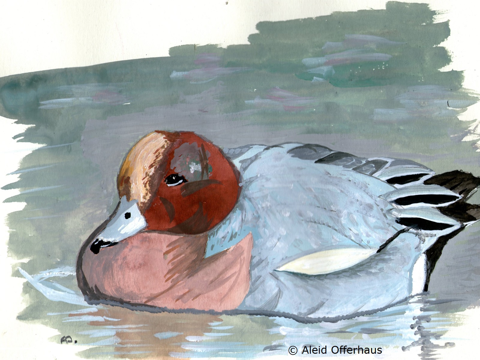 ivn amstelveen smient