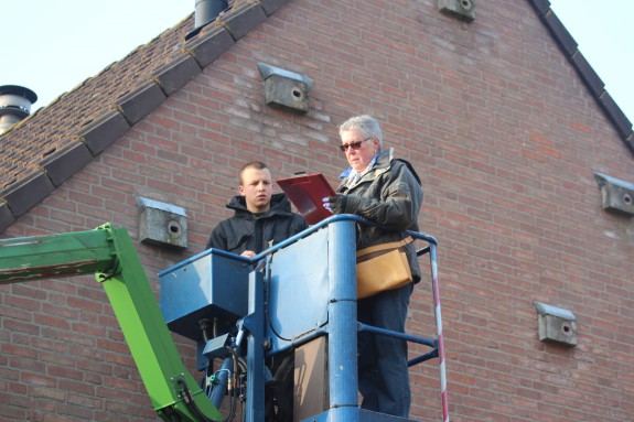 Amstelveen nestcontrole gierzwaluw