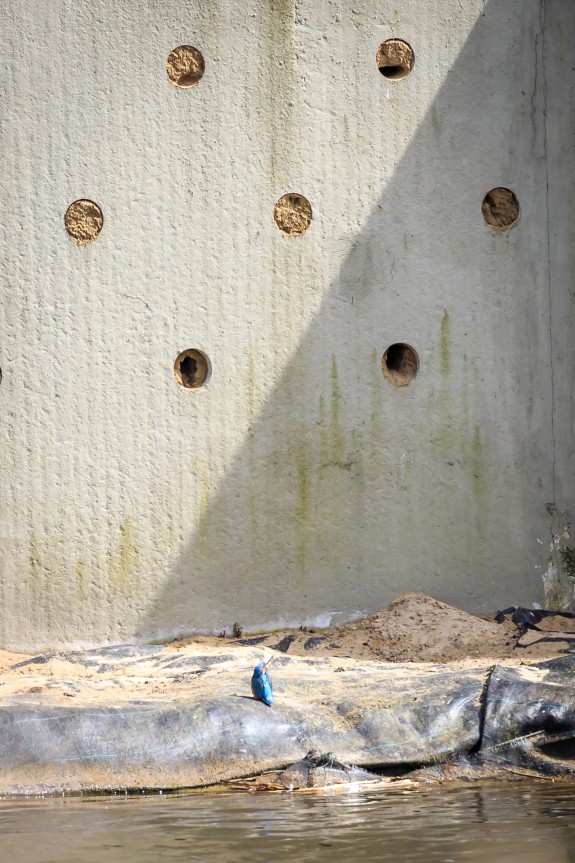 Amstelveen overerzwaluwwand