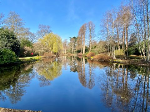 De Doorbraak in park De Braak in de lente