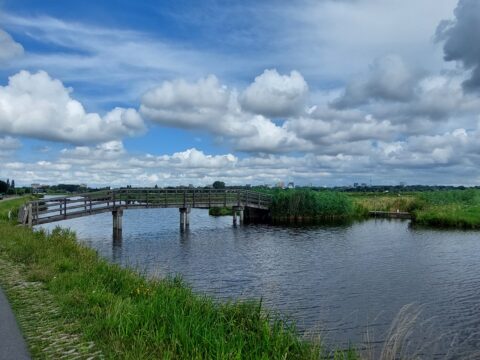 Brug naar het Bovenland in de vogelrijke Middelpolder