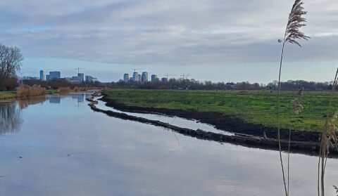 Rivier met grasland op de voorgrond, skyline met gebouwen en bouwkranen op de achtergrond.