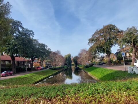 Een rustige straat langs een kanaal met bomen en huizen onder een blauwe lucht.