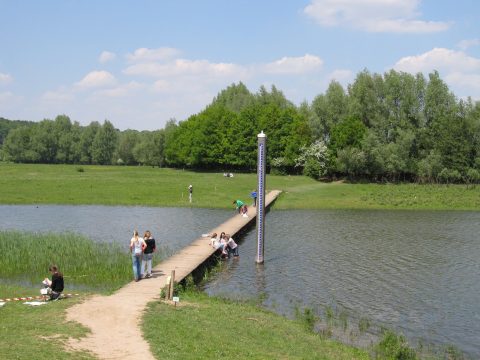 Cursussen
