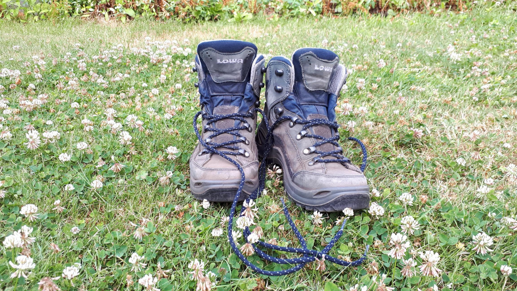 Fiets- en wandelroutes in de buurt