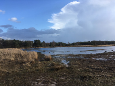 droogte heeft invloed op waterleven