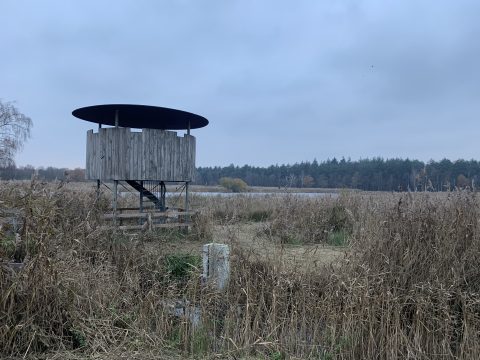 vogelkijkhut plateaux maaij bergeijk