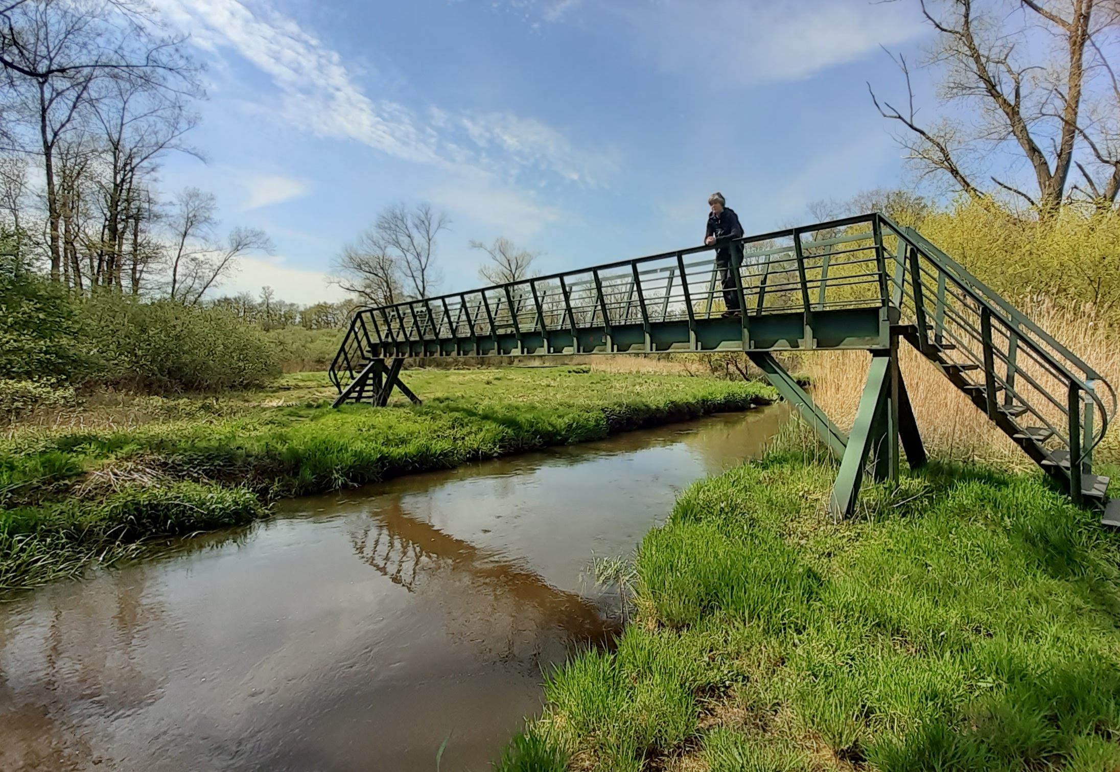 Persoon op groene brug over beek in bosrijke omgeving met blauwe lucht.