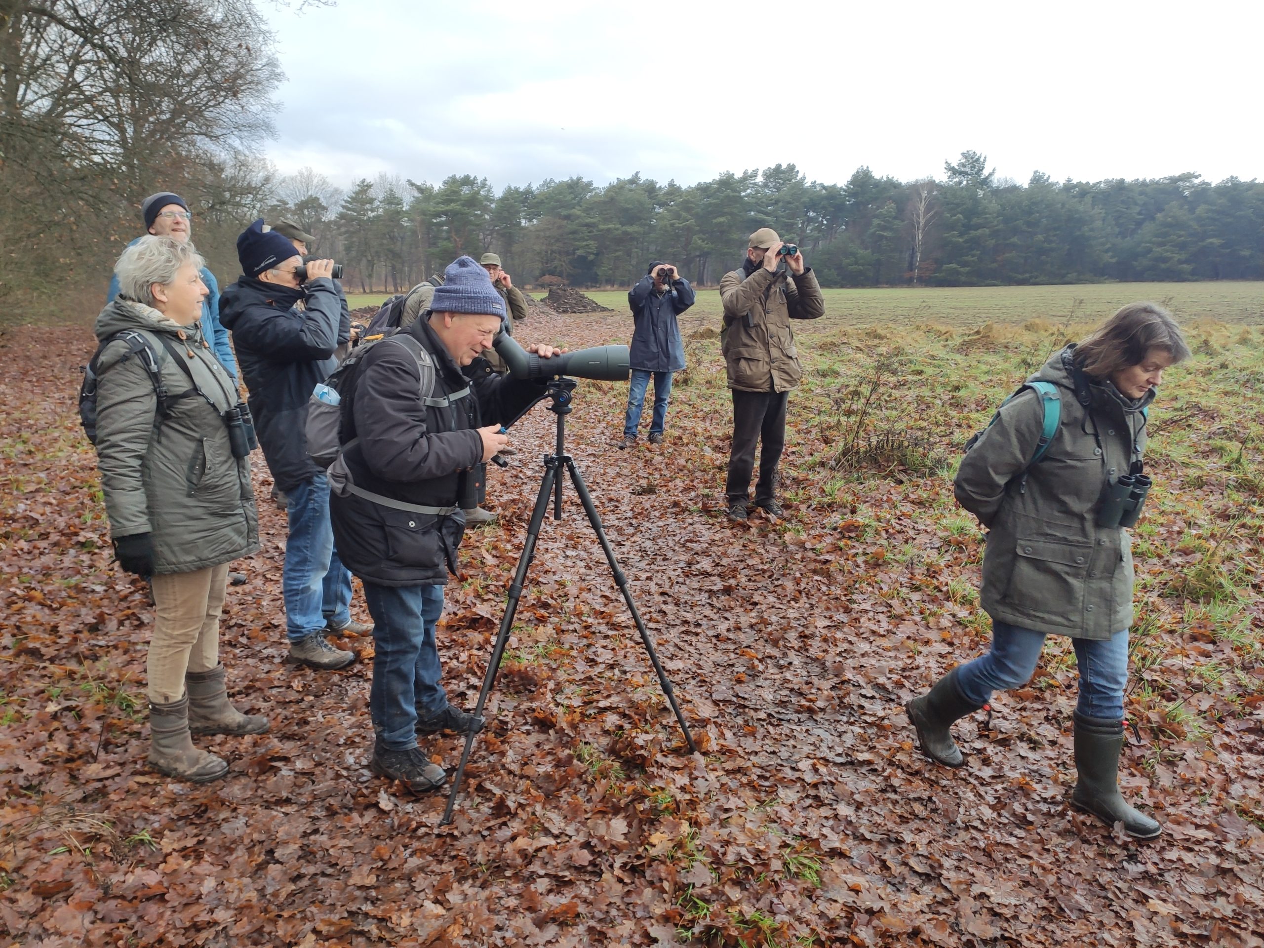 Een groep vogelaars kijkt met verrekijkers en een telescoop naar een open veld op een bewolkte dag.