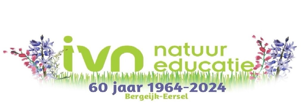 Logo van IVN Natuureducatie met bloemen, 60 jaar jubileum 1964-2024, Bergeijk-Eersel.