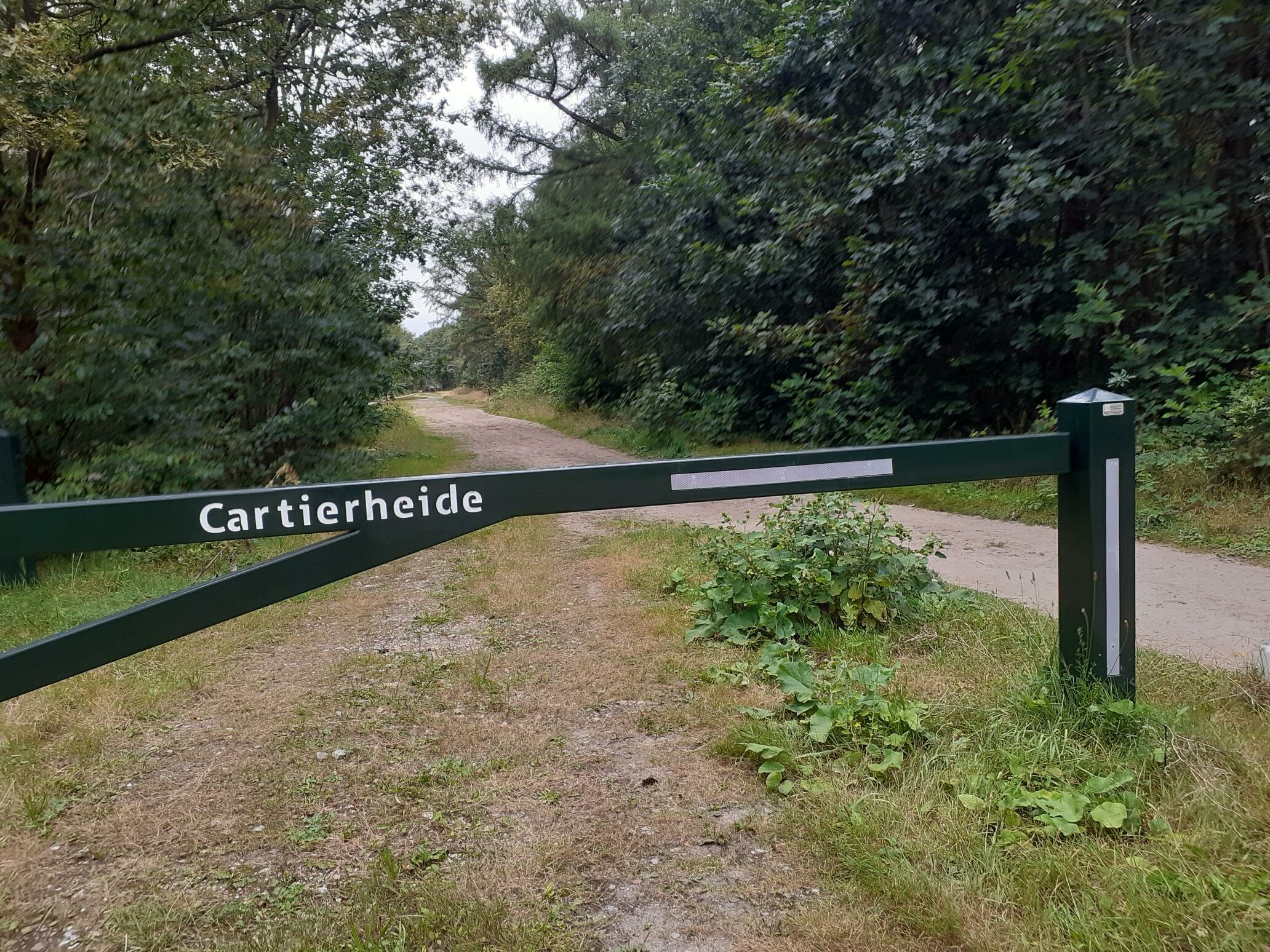 Groen hek met opschrift "Cartierheide" aan het begin van een bosweg omgeven door bomen.