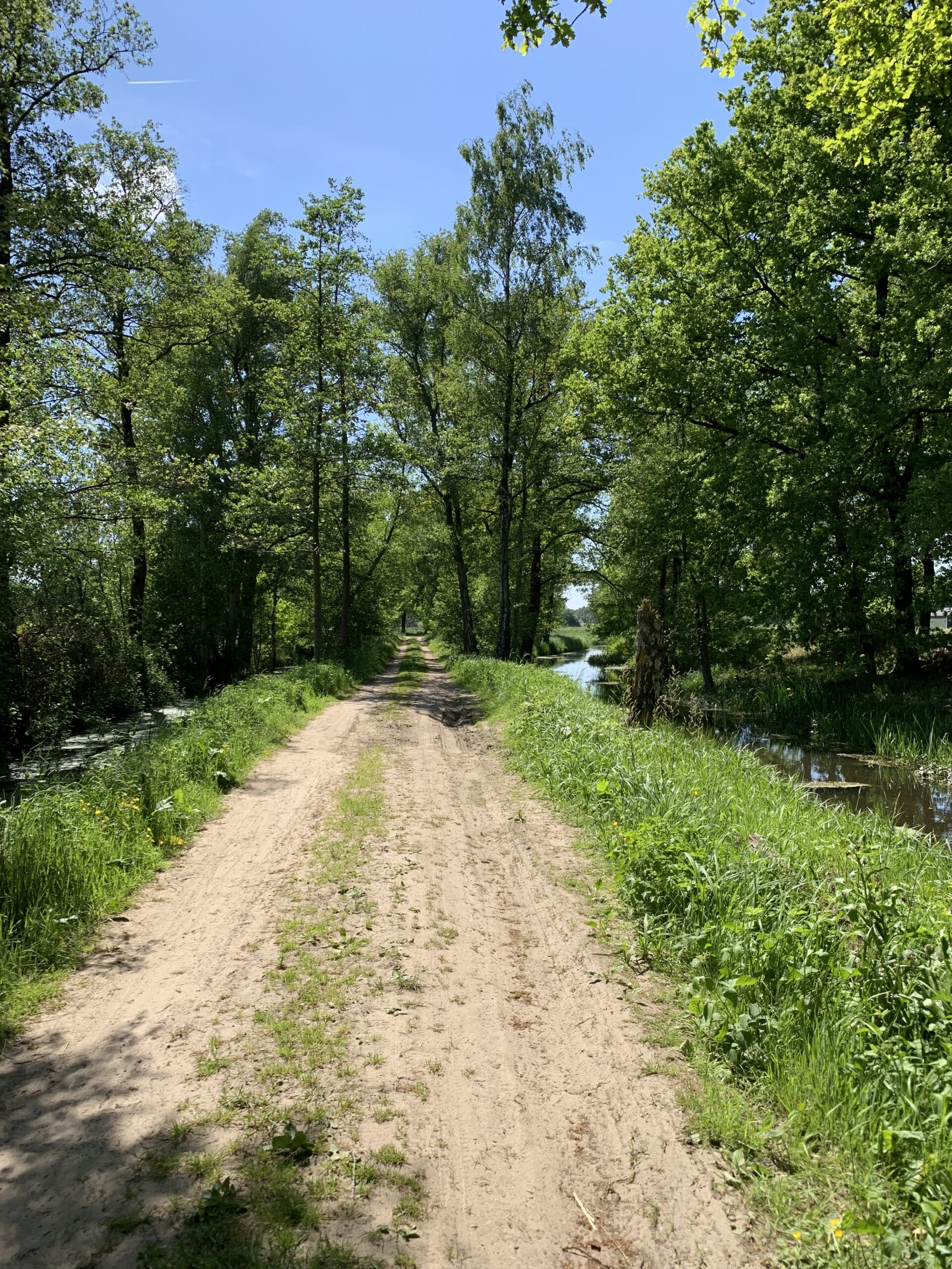 Zandpad door groene bomen met greppel aan de rechterkant onder een heldere, blauwe lucht.