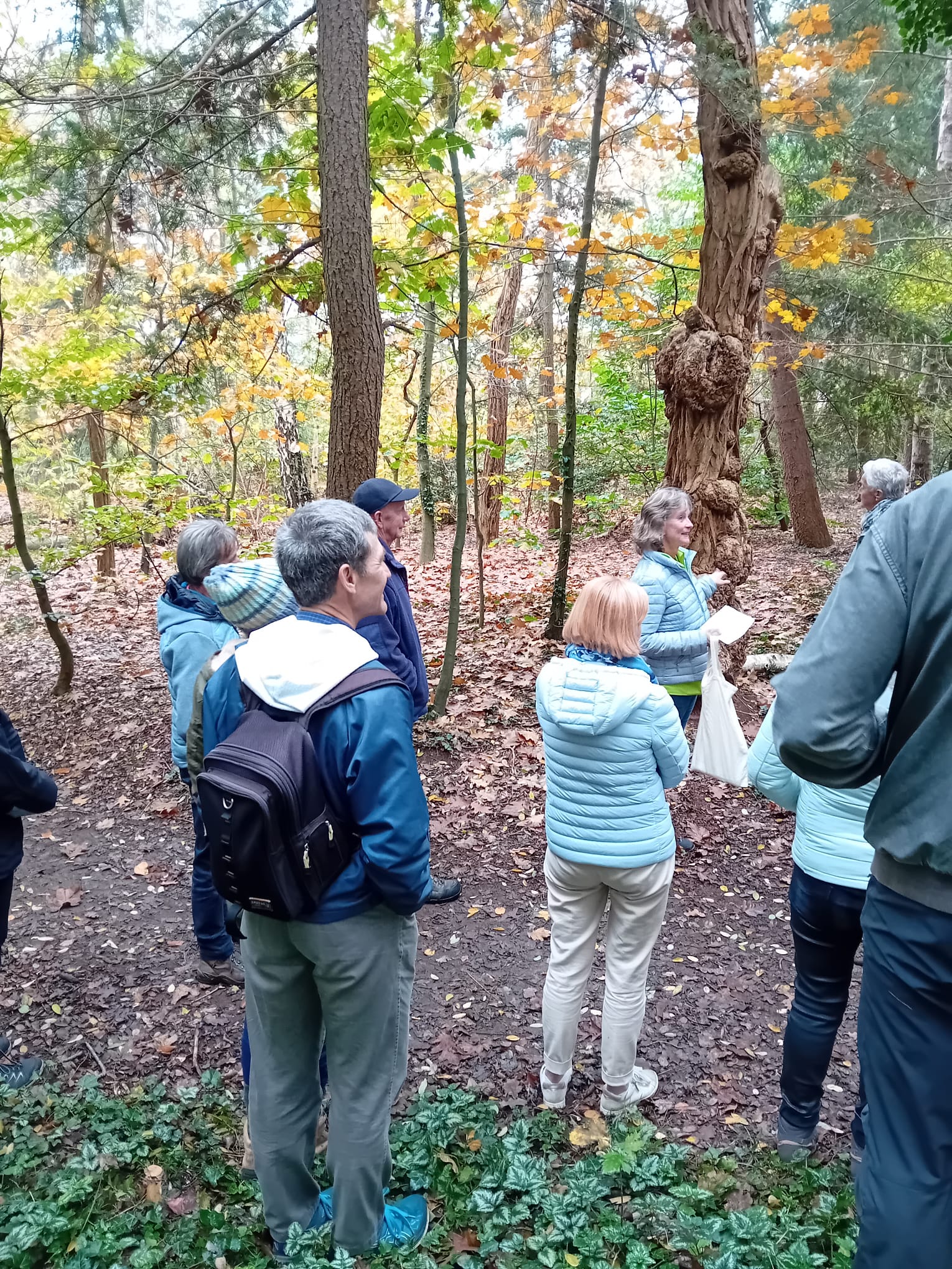 Groep mensen in een herfstbos tijdens een natuurwandeling.