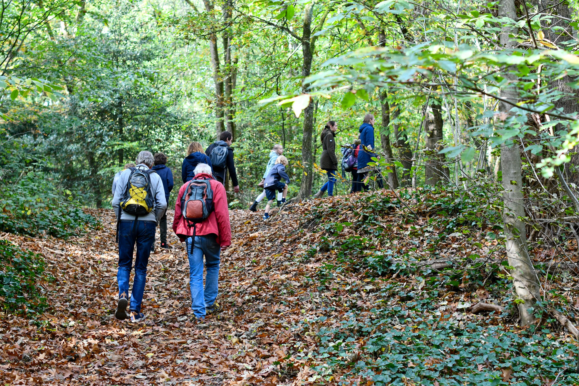 Groep wandelaars met rugzakken op een met bladeren bezaaid pad in een dicht groene bosomgeving.